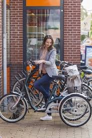 Therapierad Fur Erwachsene Mieten Van Raam