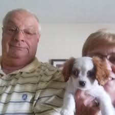 Who can relocate a 36' camper from one campground to another in the Dells?