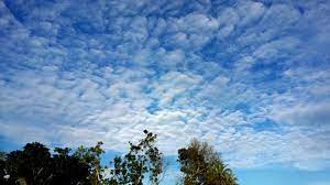 দুর্যোগ কাটিয়ে আকাশে শরতের মেঘ, পুজোর দিনগুলিতে ফের বৃষ্টির আশঙ্কা?