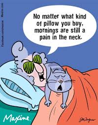 Pin On Maxine