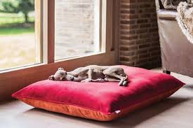 Extra large memory foam dog bed by friends forever. Luxury Dog Bed Mattresses Charley Chau Luxury Dog Beds Blankets