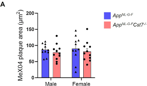 Cystatin F (Cst7) drives sex-dependent changes in microglia in an  amyloid-driven model of Alzheimers disease | eLife