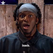 KSI gets pranked by his own brother Deji in fake audition!