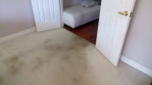 Utilizing the latest truck mounted cleaning equipment our technicians can clean a wide range of flooring. Rapid Carpet Cleaning Pest Control Home Facebook
