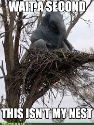 All items are vintage and for the most part will show. Memebase Nest All Your Memes In Our Base Funny Memes Cheezburger