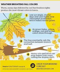 Leaves Change Color Fall Science Fall Colors Vibrant Colors