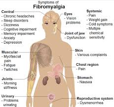 Pin On Fibromyalgia
