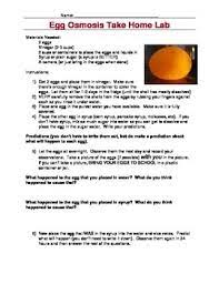 The experiment is aimed at giving a better understanding of osmosis process and the different experiment conditions under which osmosis occurs. Egg Osmosis Take Home Lab By Heidi Hisrich Teachers Pay Teachers