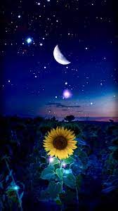 Cool collections of hd sun moon stars wallpapers for desktop, laptop and mobiles. Sun Moon Stars Moon And Stars 720x1280 Download Hd Wallpaper Wallpapertip