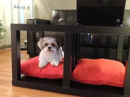 A multifunctional wooden coffee table that doubles as a pet bed. Dog Bed Made Out Of Coffee Table