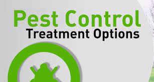 Pest encounters are becoming increasingly common to humans living in urban areas. Top 10 Pest Control Services In New Delhi Safe Certified Chemicals Urban Company
