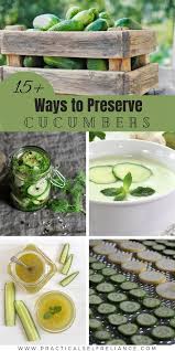 Maybe you would like to learn more about one of these? 15 Ways To Preserve Cucumbers