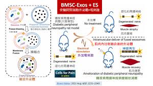 于都分公司 6 湖南怀峰消防科技有限公司兴国分公司 7 江西普特思环保科技有限公司 8 江西旭江. Cells For Pain Beitrage Facebook