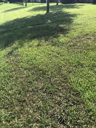 We protect homes and businesses, offering residential and commercial services to customers seeking effective termite and pest control. Safari Termite Pest Control 6454 Beach Blvd Jacksonville Fl Pest Control Mapquest