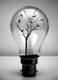 Bulb Art W630 Jpg 630 860 Pixels Light Bulb Crafts Light Bulb Creative Photos