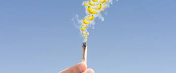 How to Not Smell Like Smoke: Are Flavored Pre-Rolls the Key?