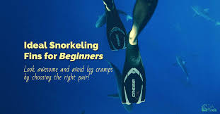 Ideal Snorkeling Fins For Beginners
