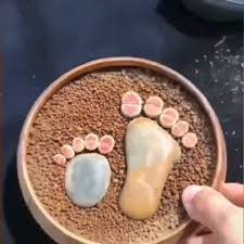 Home Video Video Succulent Garden Indoor Planting Succulents Succulent Garden Outdoor