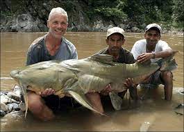 Pin By Fishing Buddyzz On Fishing River Monsters Monster Fishing Jeremy Wade