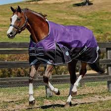 Weatherbeeta Horse Blankets Golegilo Club
