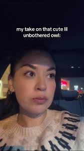 Mark Animal Experts Owl