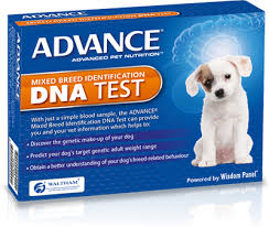 Shop chewy for low prices on the best pet dna tests and tech gadgets. The Proof Is In Your Pet Premium Pet Food For Dogs And Cats About Dna