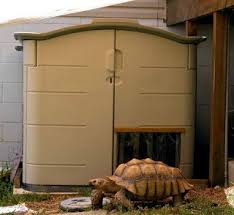 Frankie Tortoise Tails Frankie S Luxury Shelter Tortoise House Tortoise Care Tortoises