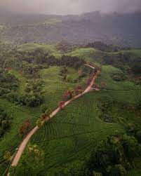 Maybe you would like to learn more about one of these? Enjoy Bogor Kawasan Wisata Kebun Teh Cianten Di Facebook