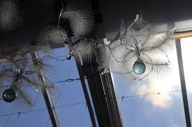 New interactive sculpture in Luddy Hall is 'not human, but alive'