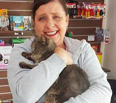 Australian cat reunited with owners after being found 9,000 miles away in  Scotland