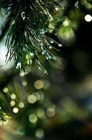 Pin On Bewitchingbokeh
