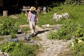 Find all the part time part time jobs through our portal. Nine Landscaping Gardening Skills To Pick Up To Save Money Csmonitor Com