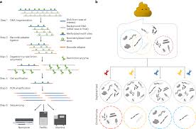 mEnrich-seq: methylation-guided ...