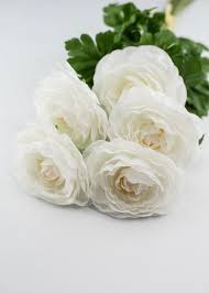 Image result for Ranunculus stagnalis