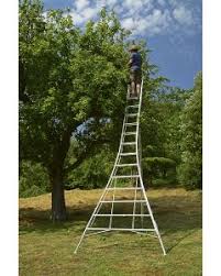 Growing premium quality fruits since 1945. Fruit Picking Ladder Tripod Ladders For Fruit Picking