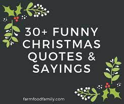 Funny Christmas Sayings 30 Funny Christmas Quotes Sayings That Make You Laugh