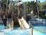 Disney Hilton Head