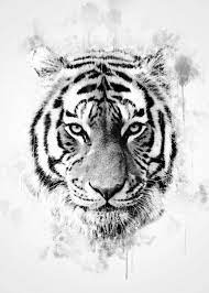 Tiger Head Black And White Poster By Cornel Vlad Displate Tiger Tattoo Tiger Head Tattoo Tiger Tattoo Design