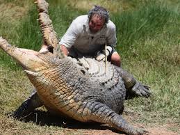 Maybe you would like to learn more about one of these? Real Life Mick Dundee Confronts Croc Who Almost Took His Hand