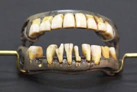 This rumor started because his dentures of ivory would. The Funky History Of George Washington S Fake Teeth Mental Floss
