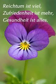 Pin Von Romy Muller Auf Spruche Schonen Tag Spruche Weisheiten Spruche Witzige Bilder Spruche