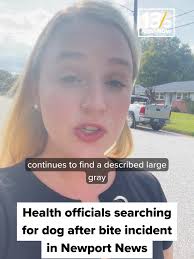 Help Find Large Gray Pit Bull in Newport News Area