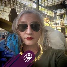 Hippos in a hotel swimming pool in St. Lucia, South Africa