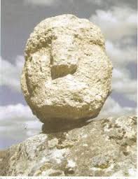 Gobekli Tepe Hayvan Totemler Ve Cinsellik Toplumvetarih Totemler Hayvan