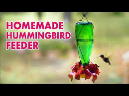 Glass feeders have some unique features as compared to other ones like durability, transparency, prevention from. How I Made A Hummingbird Feeder Youtube