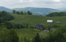 Image result for wineries near linville nc