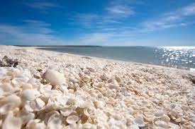 20 Most Unique Beaches In The World Road Affair Beach Most Beautiful Beaches Beautiful Beaches