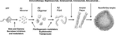 09, 2020 1:09 am et biib 5 comments. The Hypothesis That Refuses To Die Chapter 10 Brain Fables