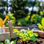 WSU Master Gardener Plant Clinic