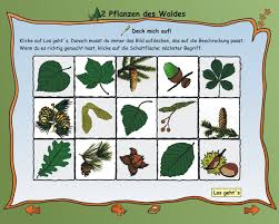 Lernprogramm Wald Lernsoftware Wald Fur Grundschulen Lernumgebung Tiere Und Pflanzen Lernhilfen Sachkunde Khsweb De Bildungssoftware Gmbh